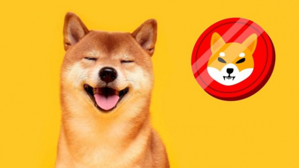 Сообщество Shiba Inu требует смены руководства