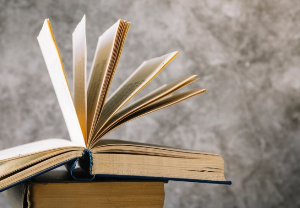 &laquo;Книжный лабиринт&raquo; закрыл более 90% магазинов сети