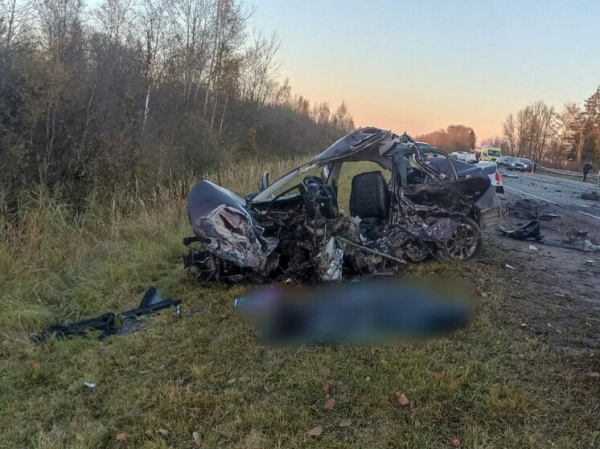 Семь машин в груде металла: семья погибла в страшной аварии под Новгородом