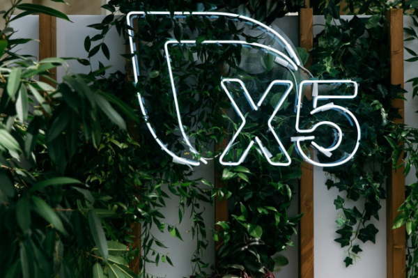 X5 объявила о размере рекомендуемых дивидендов за 9 месяцев 2025 года